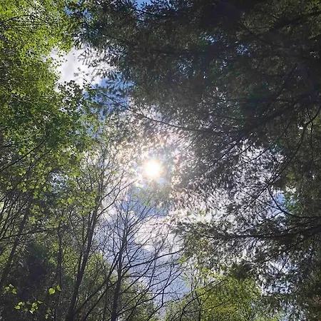 Kitty's Place, Apartment, Eden Valley, Cumbria Lejlighed Brampton (Cumbria)