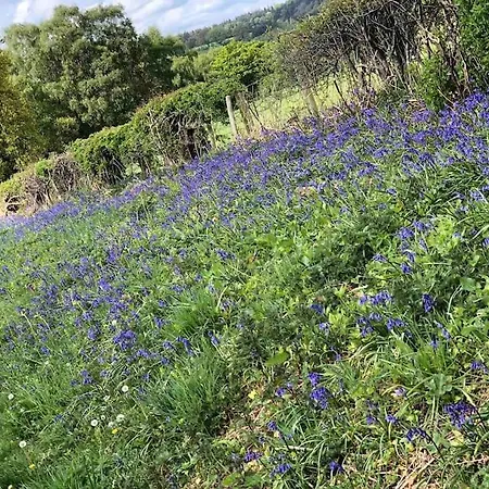 Apartament Kitty's Place, Apartment, Eden Valley, Cumbria